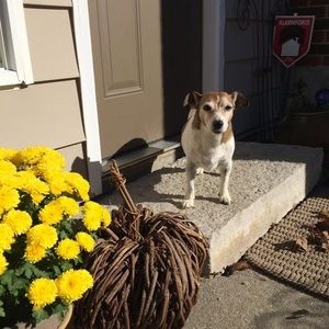 Meet your Posher, Melanie